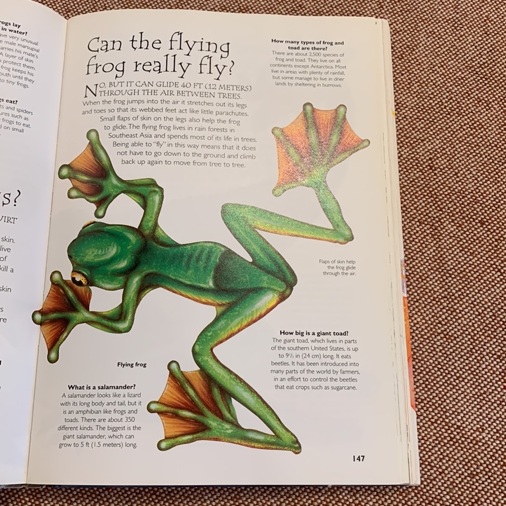 Hard Cover Book - Picture 10 of 14